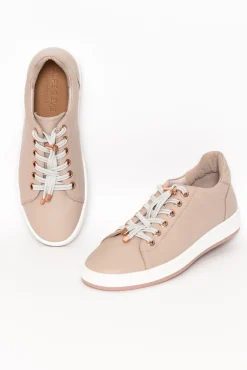 Leather Sneakers<Alfie and Evie Aero Blush Leather Sneaker