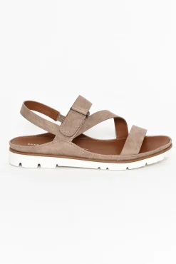 Flat Sandals<Los Cabos Ashli Taupe Strappy Sandal
