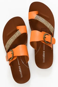 Slides<Los Cabos Bria Tangerine Slide