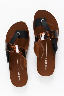 Slides<Los Cabos Bry Black Tortoise Multi Strap Slide