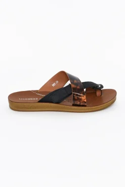 Slides<Los Cabos Bry Black Tortoise Multi Strap Slide