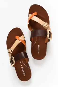 Slides<Los Cabos Dany Copper Buckle Slide