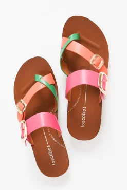 Slides<Los Cabos Dany Pink Tropical Buckle Slide