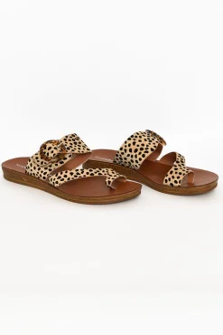 Slides<Los Cabos Dotsie Cheetah Resin Buckle Slide