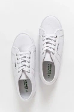 White Sneakers<Human Shoes Lift White Canvas Sneaker