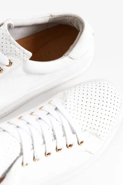 White Sneakers<Alfie and Evie Paradise White Leather Sneaker