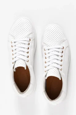 White Sneakers<Alfie and Evie Paradise White Leather Sneaker