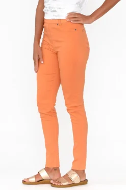 Pants<Cafe Latte Reed Orange Stretch Cotton Pant